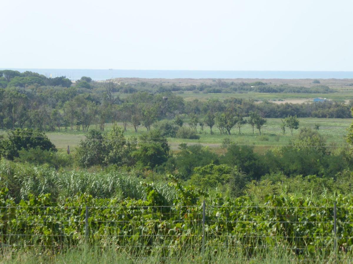 Gite Des Jonquies, Au Calme Vue Sur Le Canal Du Midi Et La Mer Portiragnes Kültér fotó